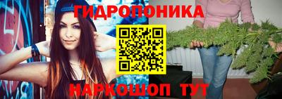 молекула духа Донской