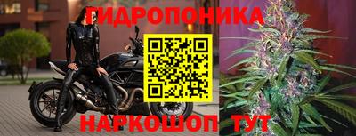 МДМА Донецк