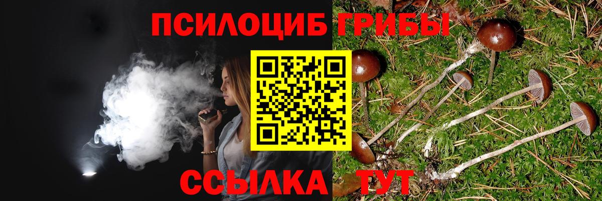 Нефтекумск  купить наркотик  Вход с VPN  Галлюциногенные грибы Cubensis 